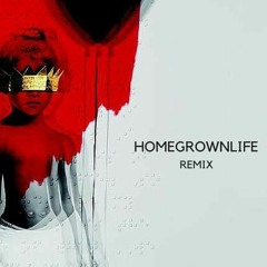 Rihanna - Needed Me Homegrownlife Remix