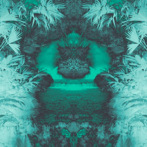 Nifty Earth - Intertwine (Ft. Akhila Eechampati)