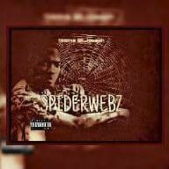 SpiderWebz