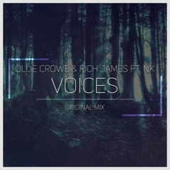 Ollie Crowe & Rich James - Voices (feat. NK)