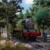 Artwork for Henry's Forest - Instrumental
