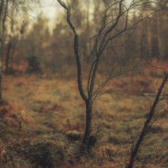 Best of Deep House and Future House 3