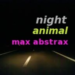 Night Animal
