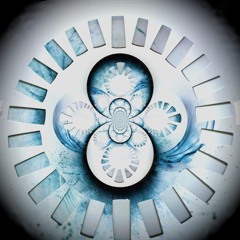 Animal Beats (Animals As Leaders flips)