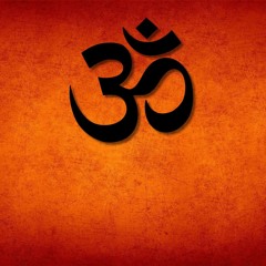 -.The Progressive Experience.-