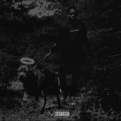 Blkkkwoods (Prod. Terence Reel)