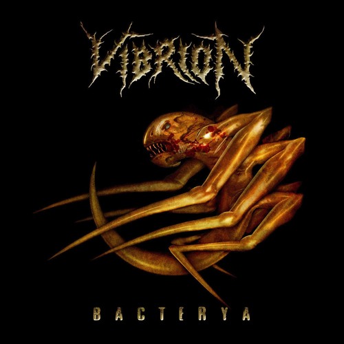 vibrion-day-of-replication