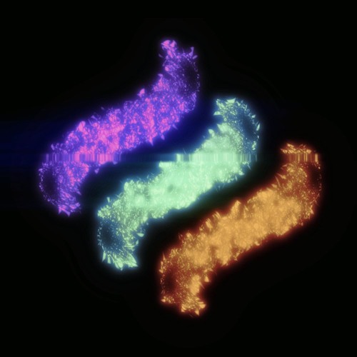 CM88 - Monotonous Wanderings