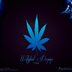 Dj Snake Ft Aluna George - I Know You Like It (Wolfyfied Deejays Remix)