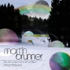 Martin Brunner - The Yearstorm (2009)