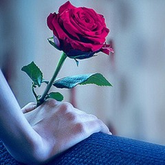 السلام عليكم ~ أشرف يوسف | طيور الجنة