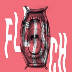 FLEISCH X LIVE SET (29.01.2016)