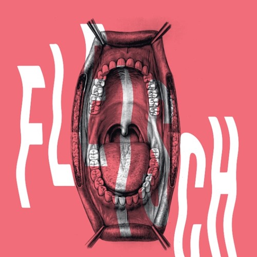 FLEISCH X LIVE SET (29.01.2016)