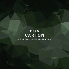 Peja - Carton (Florian Meindl Remix) !Organism