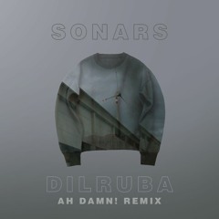 Sonars - Dilruba (Ah Damn! Remix)