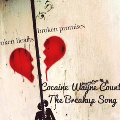 The Break Up Song