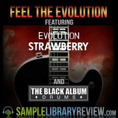 Demo Feel The Evolution - Evolution Strawberry (Orange Tree Samples) & The Black Album Drums