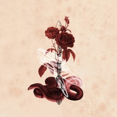 Pieces of Juno - Silver & Gold (Lillia Betz Remix)