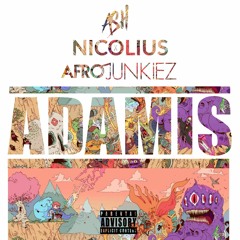 #ASH x NICOLIUS x AFROJUNKIEZ - Adamis (Refix) 2016 [FREE DOWNLOAD]