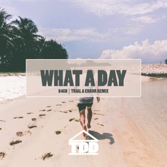 B4CH - What A Day (Trial & Error Remix)
