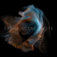 Sasha : Scene Delete