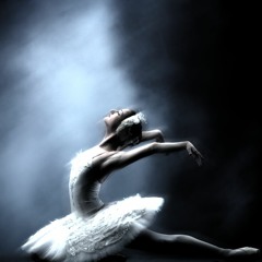 Swan Lake (Sikzonian Remix)