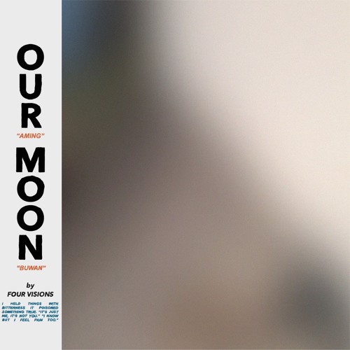 Our Moon