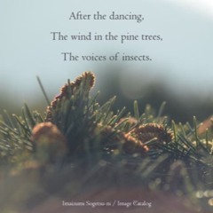 After (naviarhaiku111 -After the Dancing)