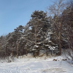 Классика В Современной Обработке - 17