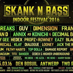 APEXX & DAMSTEP - SKANK AND BASS INDOOR FESTIVAL DJ CONTEST (!!!WINNER OF THE CONTEST!!!)