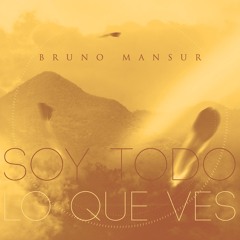 Soy Todo Lo Que Ves-Bruno Mansur