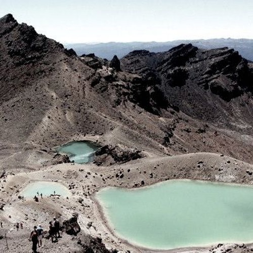 Crossing The Meadow (Production Track)