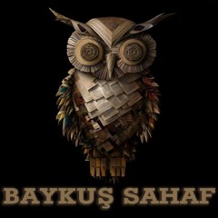 Stream Bolu Baykus Sahaf music | Listen to songs, albums, playlists for  free on SoundCloud