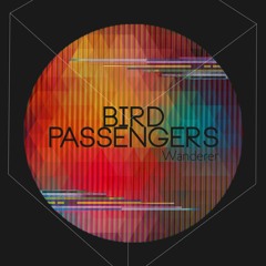 Wanderer (Free Download!)