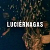 Luciérnagas (la única luz) Luciérnagas (la única luz)