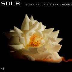 SDLR - 2 Tha Fella's, 2 Tha Ladeez