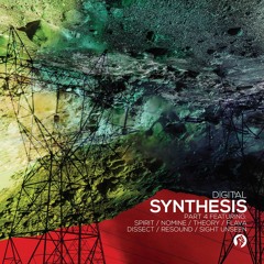 13) No Sleep Digital, Nomine, Theory