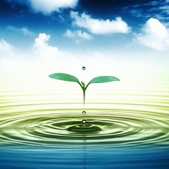 sound of the water