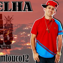 MC ORELHA- MEDLEY 48, SANTO ANDRÉ E VK {DJ MALLETA DA 48}