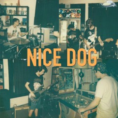 Nice Dog - Nice Dog - 04 Make Believe