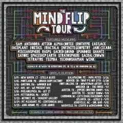 MindFlip Vol. 1