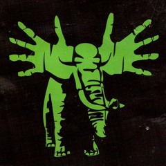 KOSMINEN ELEFUNKKI w/ ANTTI ARMOTON