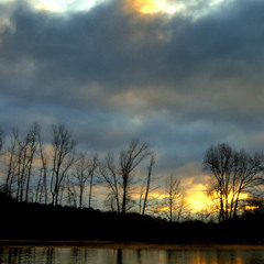 something green dolphin