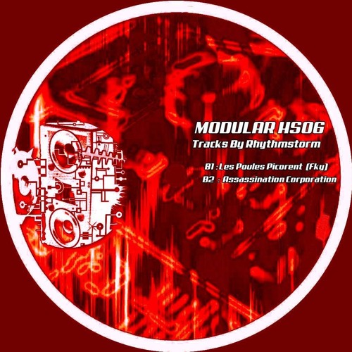 RhythmStorm - "Assassi-Nation.Corporation"  B2 on  MODULAR HS 06