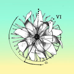 oylo - graded