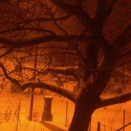 hard relationships - pepe l'oazo