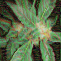 Cody Hoffman - NowTheyKnow (Prod By Therealchancemorris)