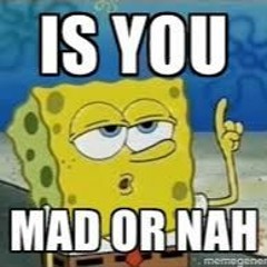 Mad Or Nah Will