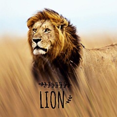 Zock - Lion [Original Mix] (SUPPORT  Andres Fresko)