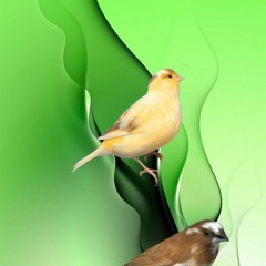 منبه اسلامي قم يا اخي الله اكبر